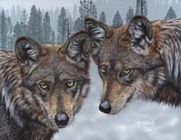 Mexican_Gray_Wolves_small