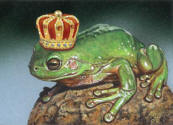 ACEO-Frog-Prince