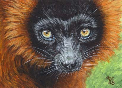 ACEO Lemur #5