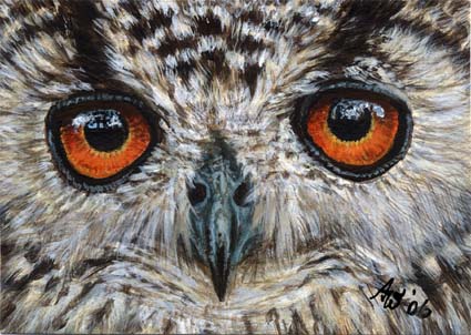 ACEO Owl #1