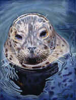 An_Encounter_Seal_small