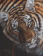 Paint Me, Protect Us