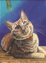 Praying_Mantis-small