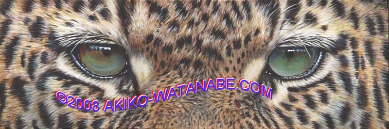 Through the Eyes of a Leopard